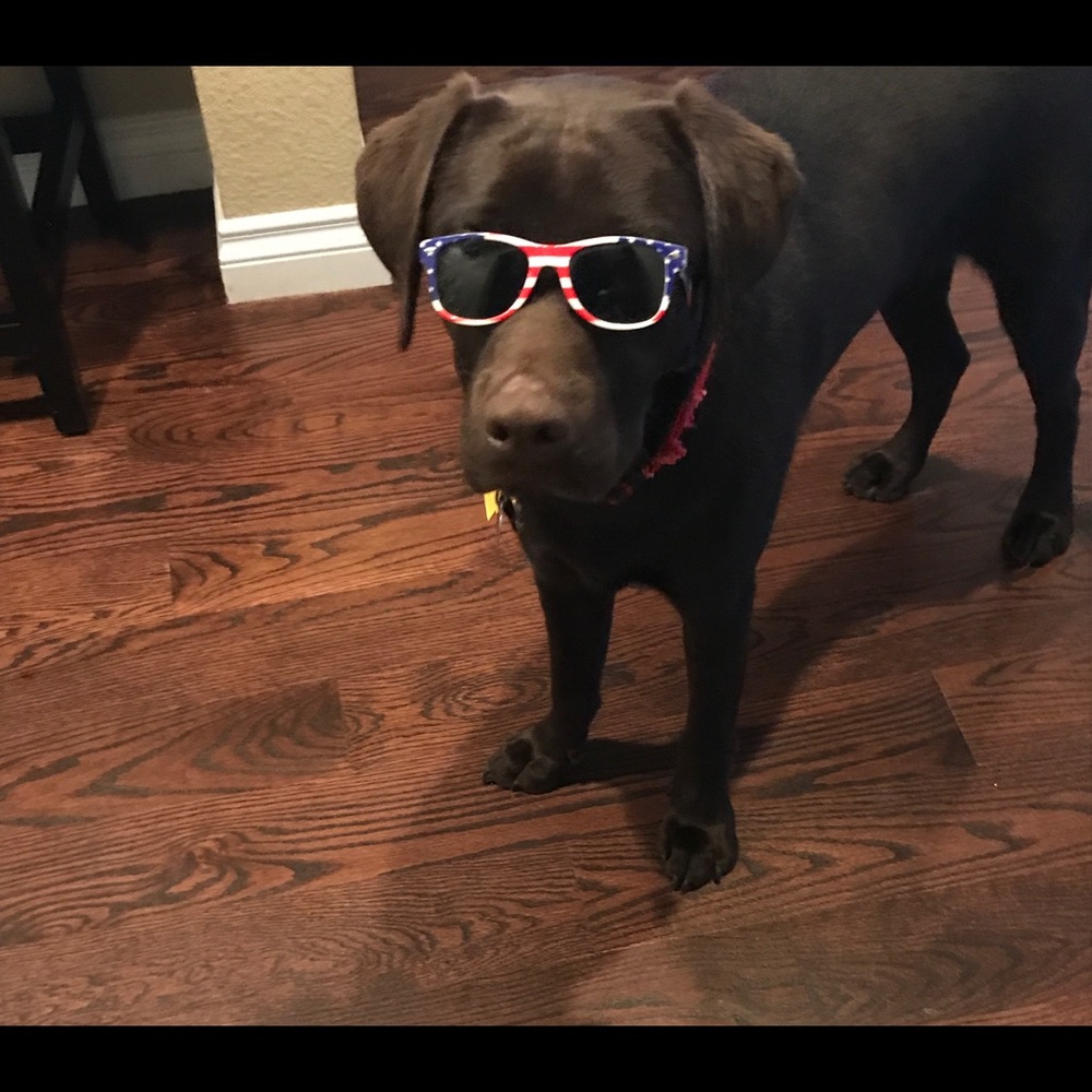 Meet your Posher, Jennifer